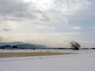 雪明けの午前、会社の前